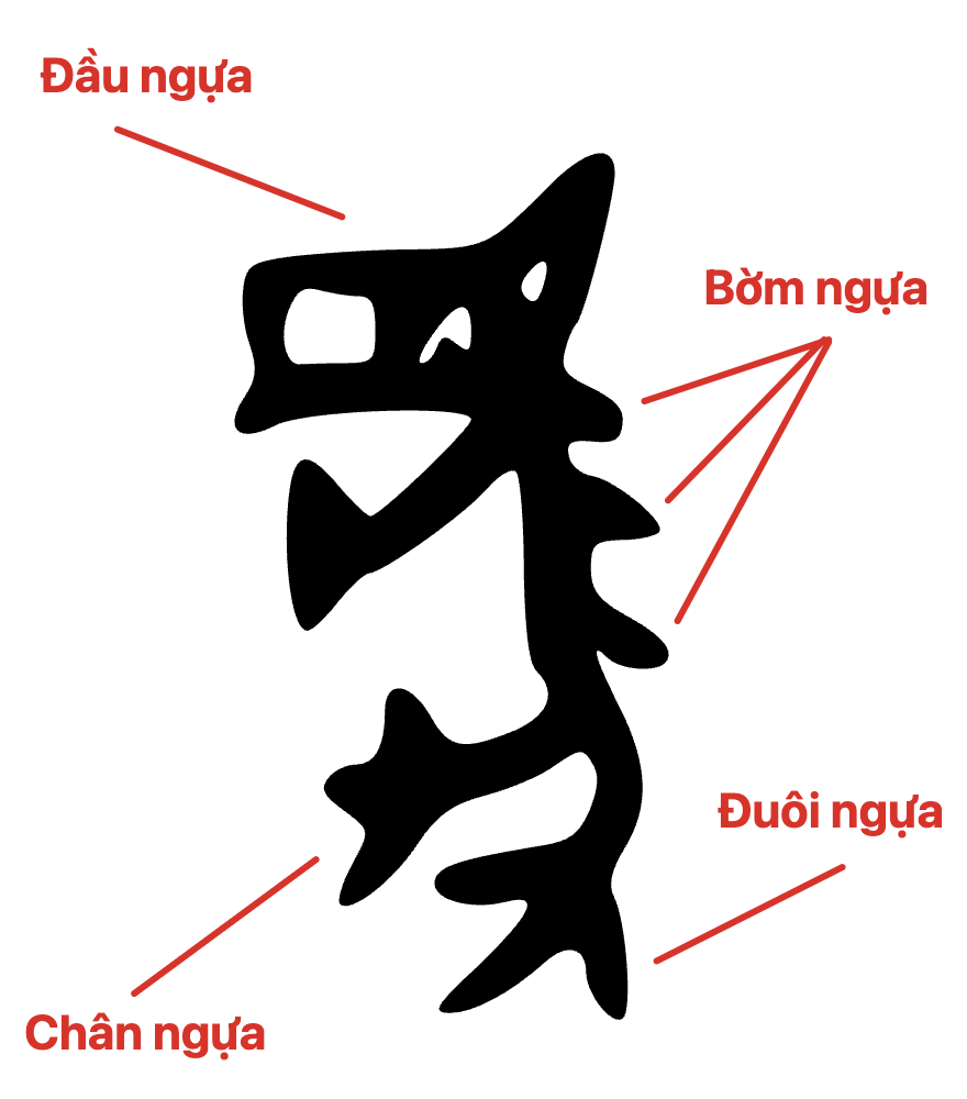 Chữ 马 thời Giáp cốt văn